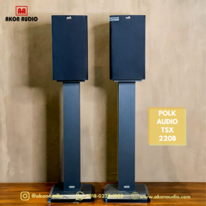 Polk audio TSX220b
